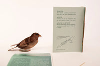 3D Greeting Card: Bird - Tales for Tadpoles
