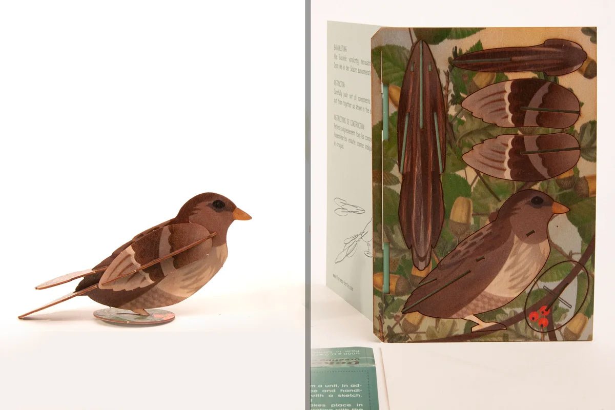 3D Greeting Card: Bird - Tales for Tadpoles