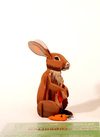 3D Greeting Card: Bunny - Tales for Tadpoles