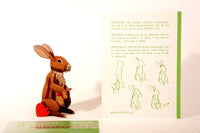 3D Greeting Card: Bunny - Tales for Tadpoles