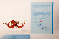 3D Greeting Card: Octopus - Tales for Tadpoles