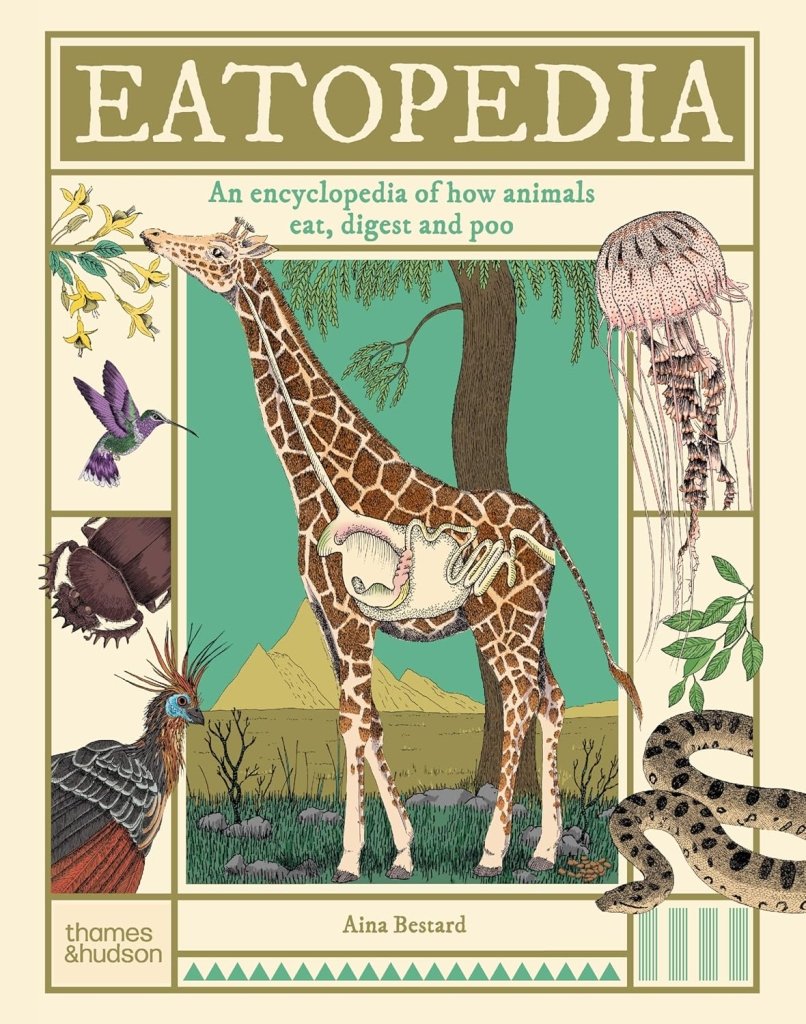 Aina Bestard: Eatopedia - An encyclopedia of how animals eat, digest and poo - Tales for Tadpoles