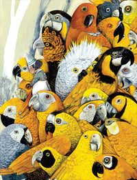 Anna Castagnoli: The Golden Cage, illustrated by Carll Cneut - Tales for Tadpoles