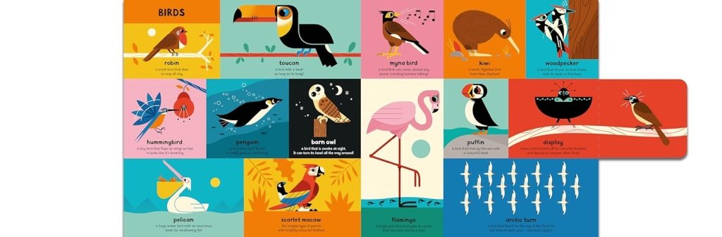 Ben Newman: My Very First Book of Everything - Animals - Tales for Tadpoles