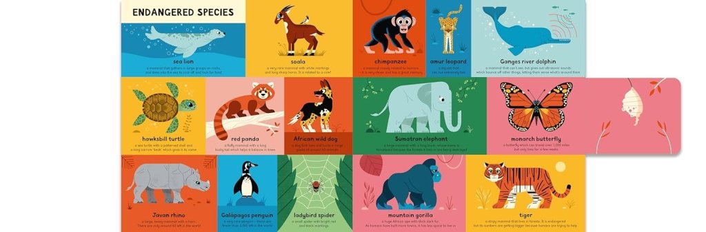 Ben Newman: My Very First Book of Everything - Animals - Tales for Tadpoles