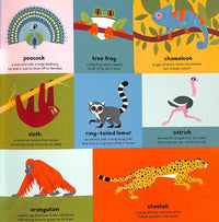 Ben Newman: My Very First Book of Everything - Animals - Tales for Tadpoles