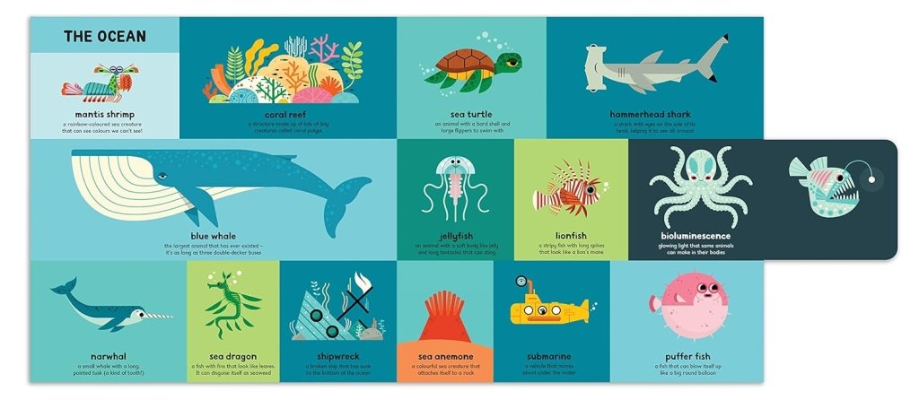 Ben Newman: My Very First Book of Everything - Tales for Tadpoles