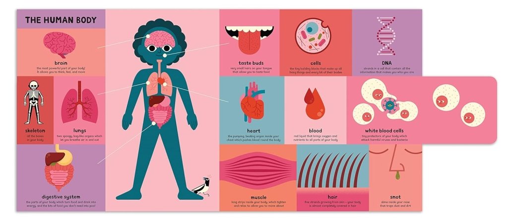 Ben Newman: My Very First Book of Everything - Tales for Tadpoles