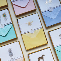 Boxed Set: Henrietta Press Greeting Cards - Bee - Tales for Tadpoles