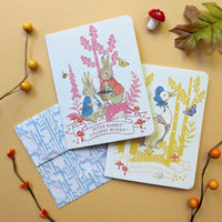Boxed Set: Peter Rabbit Notecards and Envelopes Set - Tales for Tadpoles