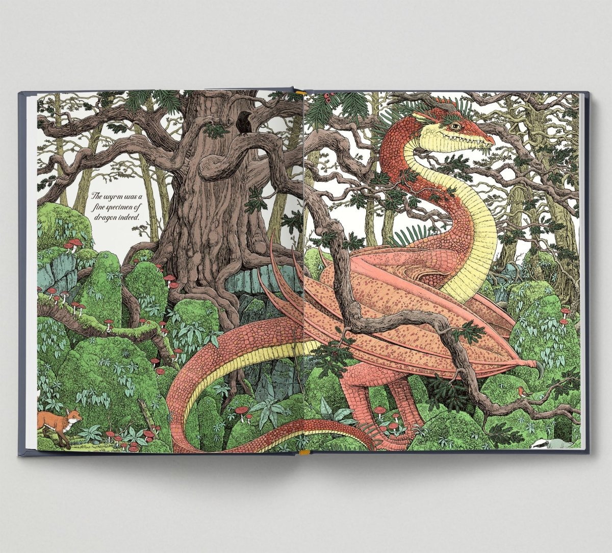 Curatoria Draconis: Dragon Lore, illustrated by Tomislav Tomic - Tales for Tadpoles