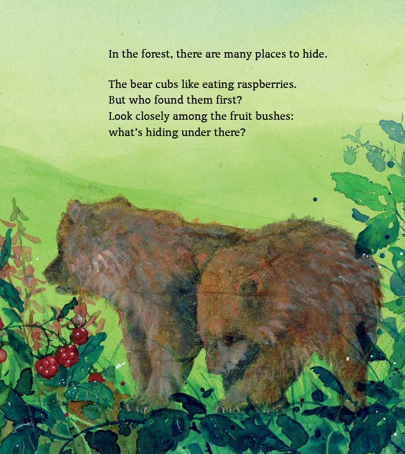 Daniela Drescher: What's Hiding Under There? - Tales for Tadpoles