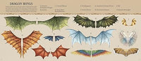 Emily Hawkins: A Natural History of Dragons, illustrated by Jessica Roux - Tales for Tadpoles
