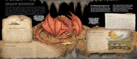 Emily Hawkins: A Natural History of Dragons, illustrated by Jessica Roux - Tales for Tadpoles