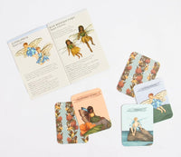 Find the Fairies: A Memory Game, illustrated by Jessica Roux - Tales for Tadpoles