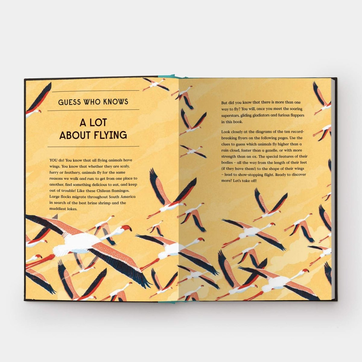 Gabrielle Balkan: Book of Flight, 10 Record - Breaking Animals with Wings, illustrated by Sam Brewster - Tales for Tadpoles