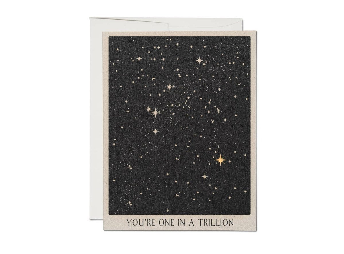 Greeting Card: Daren Thomas Magee - One in a Trillion - Tales for Tadpoles