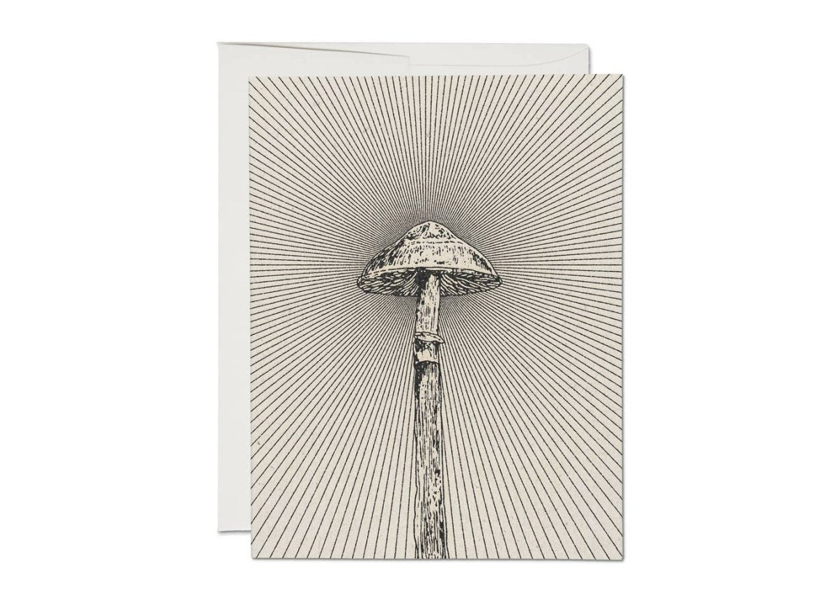 Greeting Card: Daren Thomas Magee - Shroom - Tales for Tadpoles