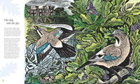 Isabella Tree: Wilding, illustrated by Angela Harding - Tales for Tadpoles