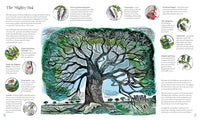 Isabella Tree: Wilding, illustrated by Angela Harding - Tales for Tadpoles