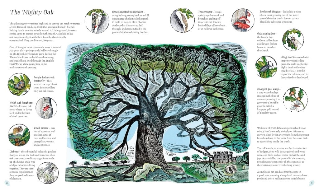 Isabella Tree: Wilding, illustrated by Angela Harding - Tales for Tadpoles
