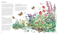 Isabella Tree: Wilding, illustrated by Angela Harding - Tales for Tadpoles