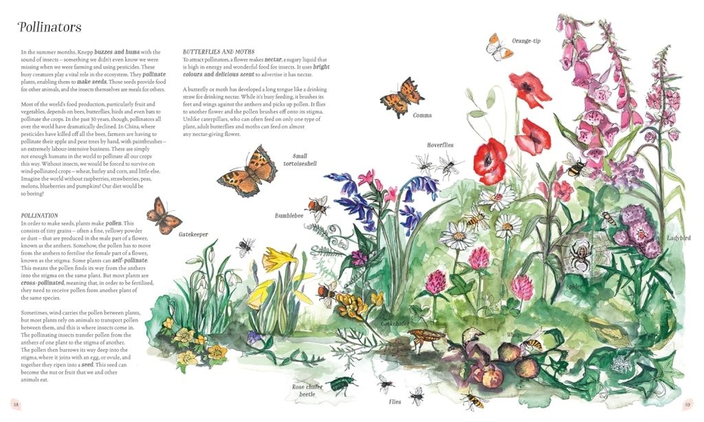 Isabella Tree: Wilding, illustrated by Angela Harding - Tales for Tadpoles
