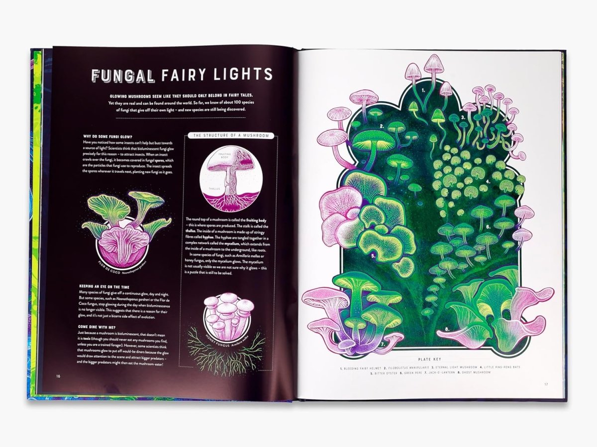 Jennifer N. R. Smith: Glow - Tales for Tadpoles