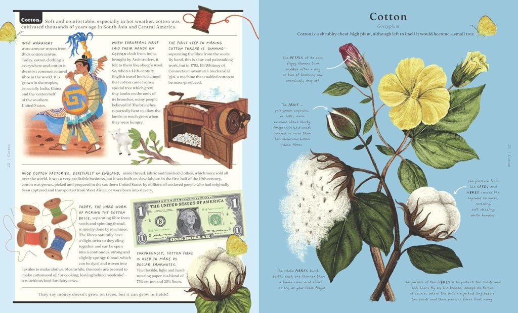 Jonathon Drori: The Stuff that Stuff Made, illustrated by Raxenne Maniquiz and Jiatong Liu - Tales for Tadpoles