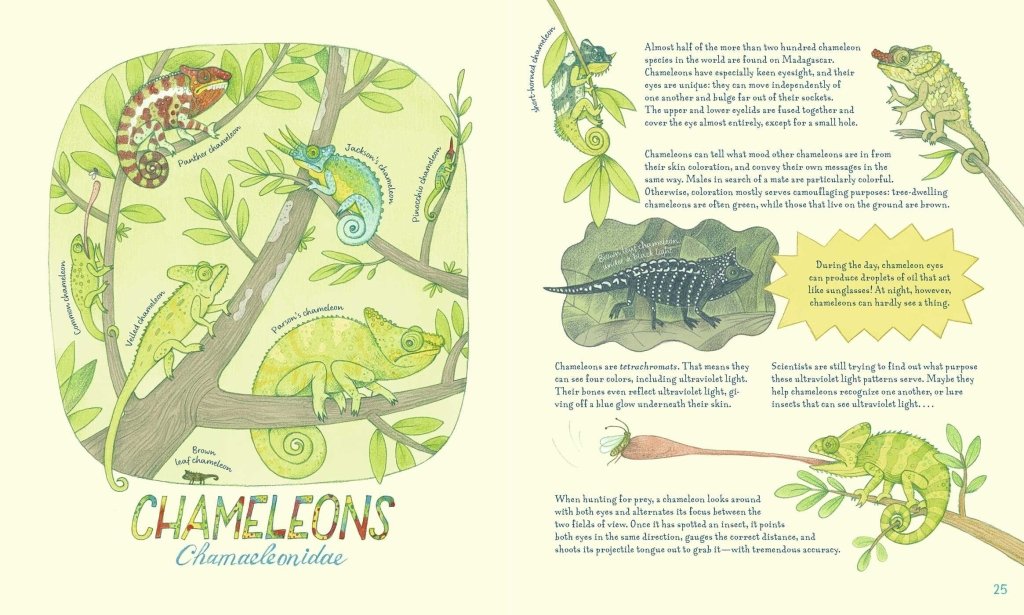 Lena Anlauf: Genius Eyes, illustrated by Vitali Konstantinov - Tales for Tadpoles