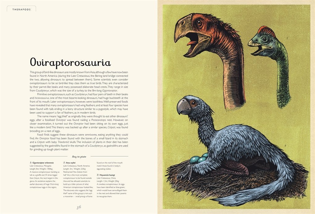Lily Murray: Dinosaurium, illustrated by Chris Wormell - Tales for Tadpoles