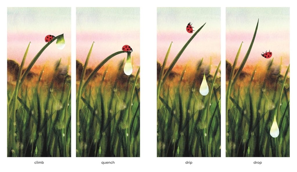 Marc Martin: Dawn - Tales for Tadpoles