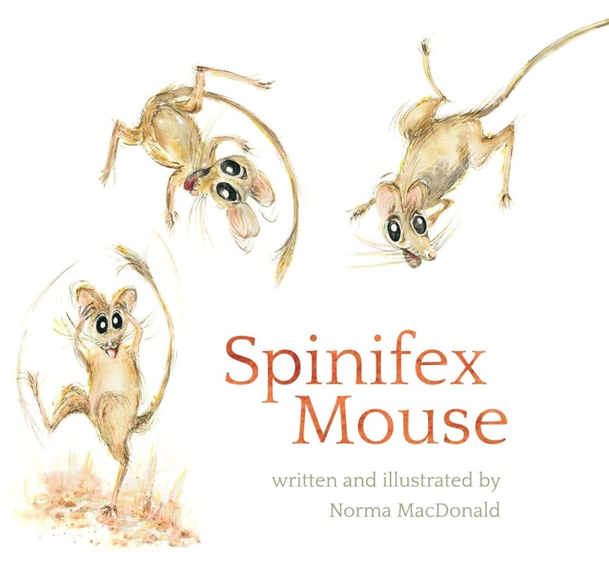 Norma MacDonald: Spinifex Mouse (Second - Hand) - Tales for Tadpoles