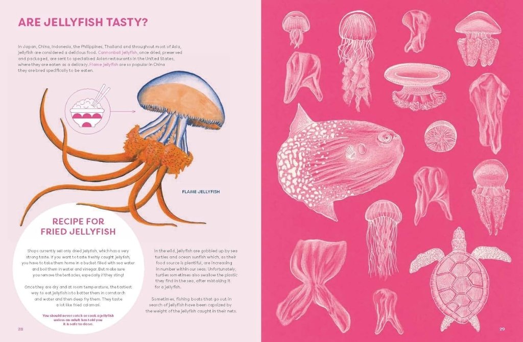 Paola Vitale: The Jellyfish Garden - Explore Their Curious World, illustrated by Rosanna Bossu - Tales for Tadpoles