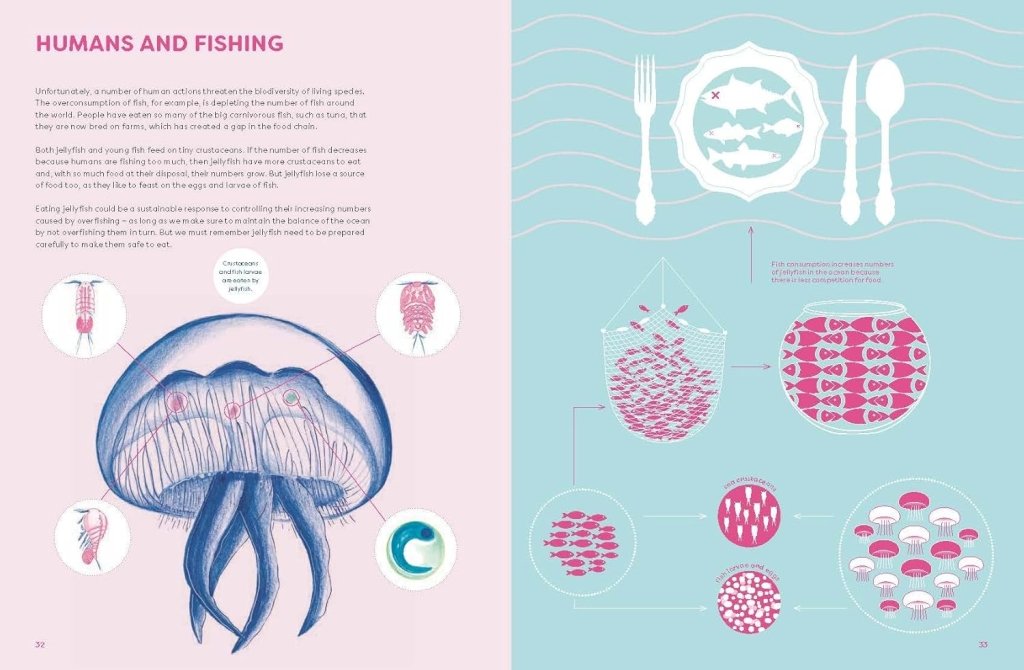 Paola Vitale: The Jellyfish Garden - Explore Their Curious World, illustrated by Rosanna Bossu - Tales for Tadpoles