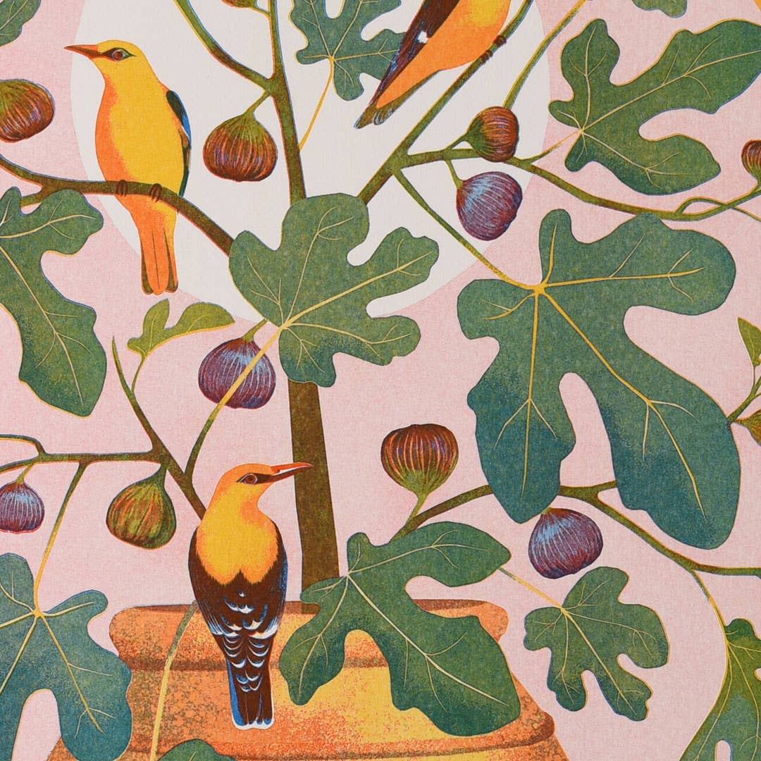 Print: Printer Johnson - Santorini (A3) - Tales for Tadpoles