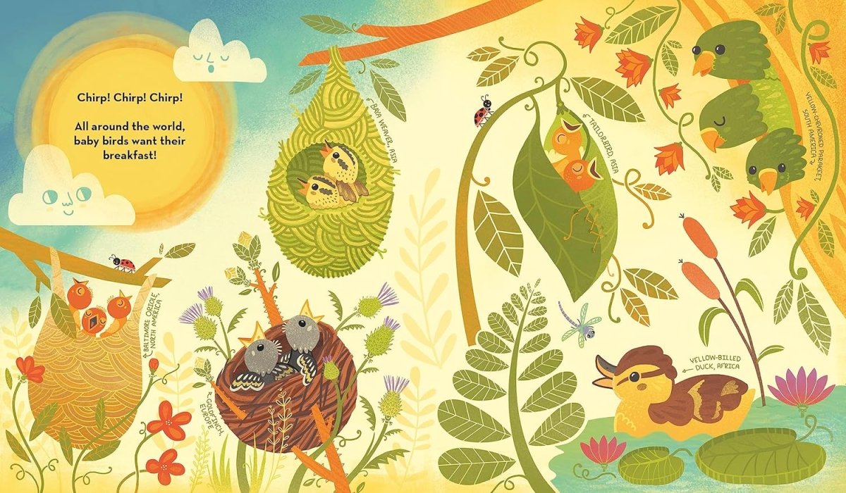 Rachel Ignotofsky: What's Inside a Bird's Nest? - Tales for Tadpoles