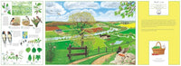 René Mettler: A Year in Nature: Explore the countryside, month by month - Tales for Tadpoles