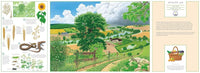René Mettler: A Year in Nature: Explore the countryside, month by month - Tales for Tadpoles