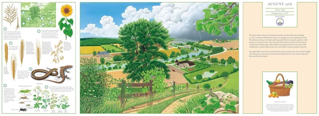 René Mettler: A Year in Nature: Explore the countryside, month by month - Tales for Tadpoles