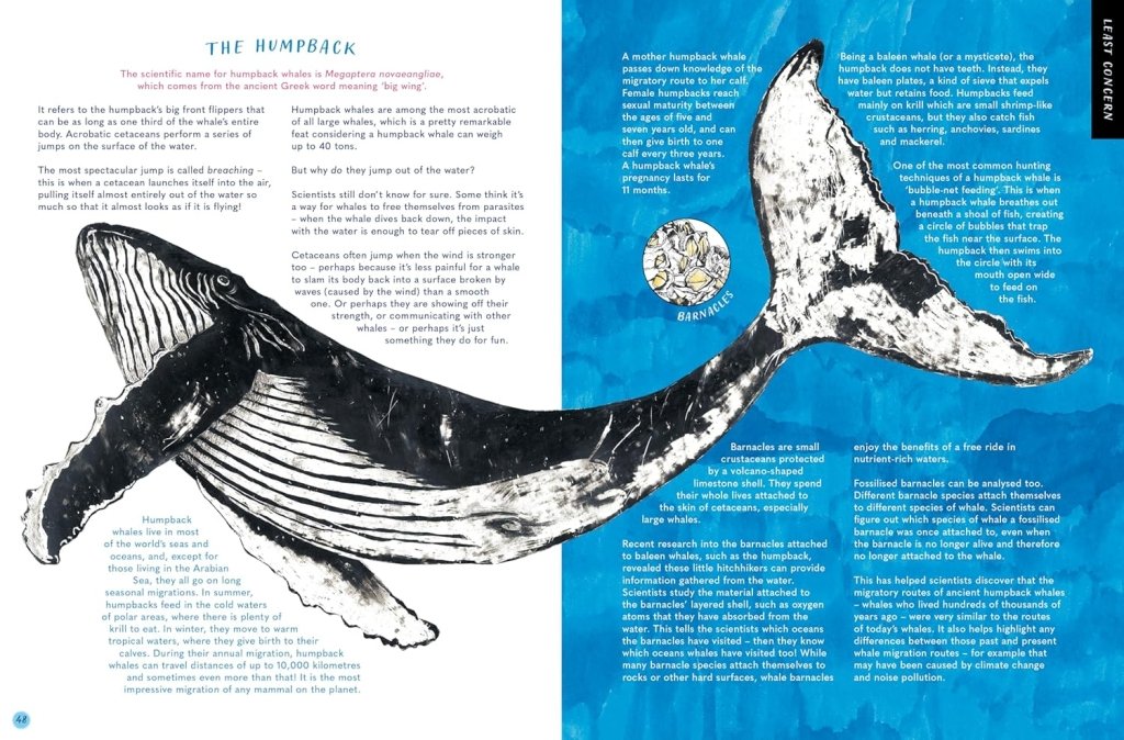 Rossana Bossù: The Whale's Song - Discover the Giants of our Oceans - Tales for Tadpoles