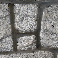 Saturday 20th Sept 10.30am: Creative Street Photography with Shane McCormack - Tales for Tadpoles