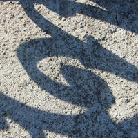 Saturday 20th Sept 10.30am: Creative Street Photography with Shane McCormack - Tales for Tadpoles