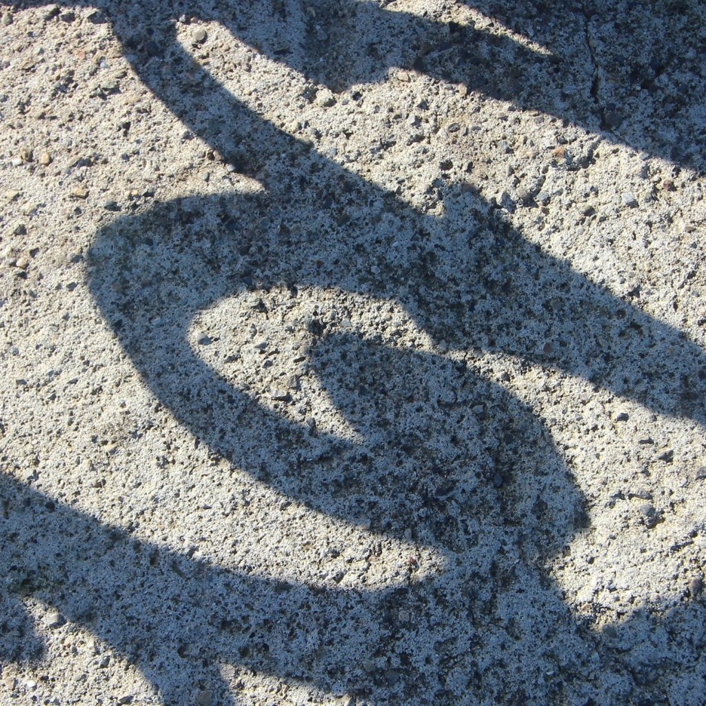 Saturday 20th Sept 10.30am: Creative Street Photography with Shane McCormack - Tales for Tadpoles