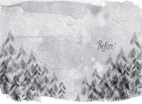 *SIGNED* Kiran Millwood Hargrave: The Way Past Winter, illustrated by Lauren O'Hara - Tales for Tadpoles