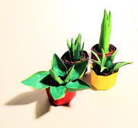 Sunday 21st Sept 1.30pm: Origami Cactus Plants with Ruth Keating - Tales for Tadpoles