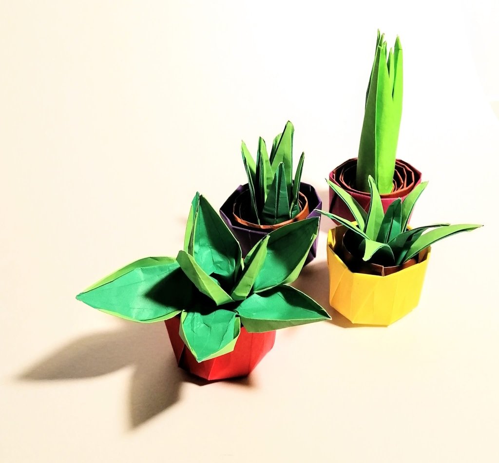 Sunday 21st Sept 1.30pm: Origami Cactus Plants with Ruth Keating - Tales for Tadpoles