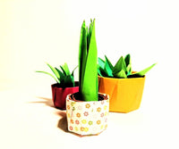 Sunday 21st Sept 1.30pm: Origami Cactus Plants with Ruth Keating - Tales for Tadpoles