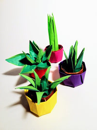 Sunday 21st Sept 1.30pm: Origami Cactus Plants with Ruth Keating - Tales for Tadpoles