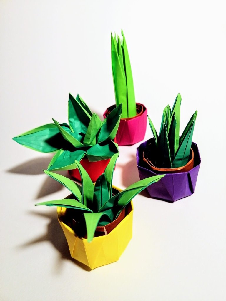 Sunday 21st Sept 1.30pm: Origami Cactus Plants with Ruth Keating - Tales for Tadpoles